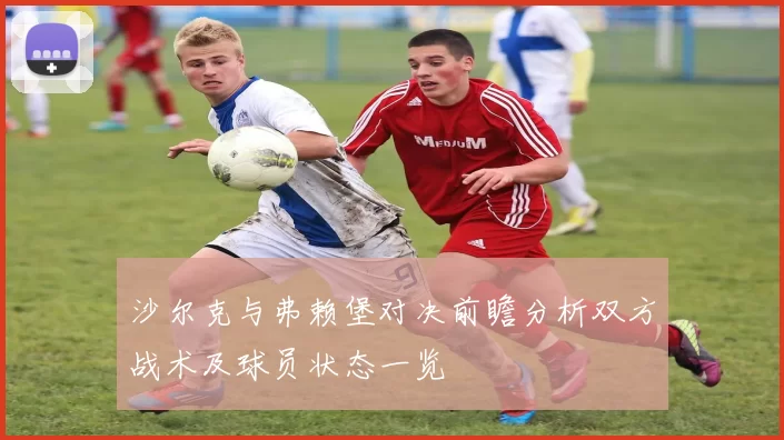 沙尔克与弗赖堡对决前瞻分析双方战术及球员状态一览