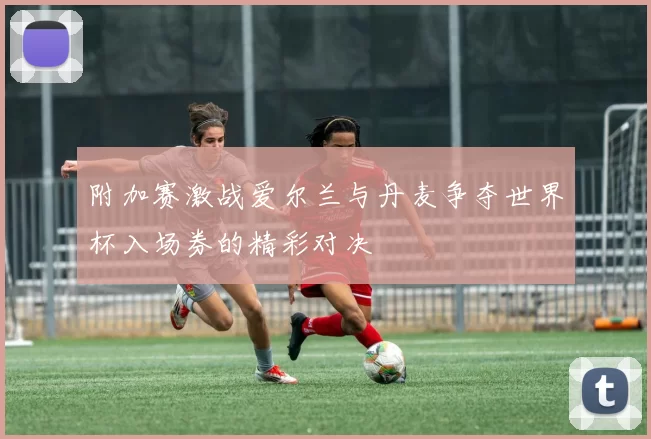 附加赛激战爱尔兰与丹麦争夺世界杯入场券的精彩对决
